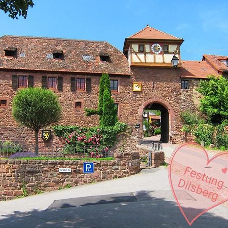 Apartment Kieselsgrund Dielheim 외부 사진